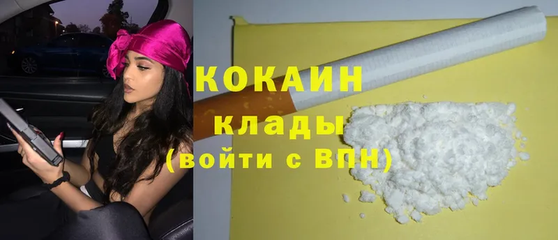 купить закладку  МЕГА как зайти  Cocaine Fish Scale  Ефремов 